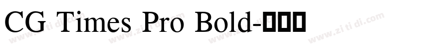 CG Times Pro Bold字体转换